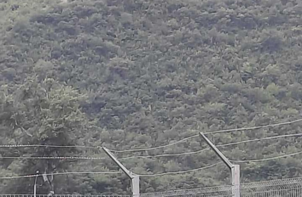 Երեկ Նիկոլը հերթական հեքիաթն էր պատմում մեր հայրենակիցներին ու հպարտանում, թե շուտով Կապանի օդանավակայանում սկսվելու են կանոնավոր չվերթներ (տեսանյութ)